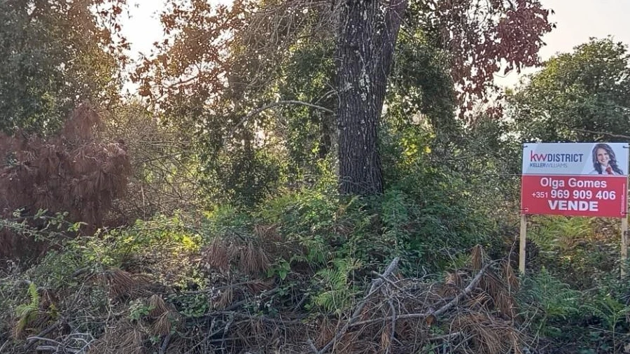 Terreno para Venda em Cernache do Bonjardim, Nesperal e Palhais