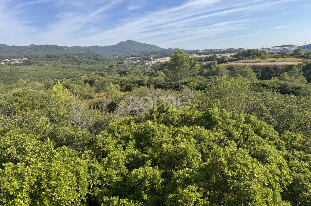 Terreno para Venda em Alcabideche Foto 6