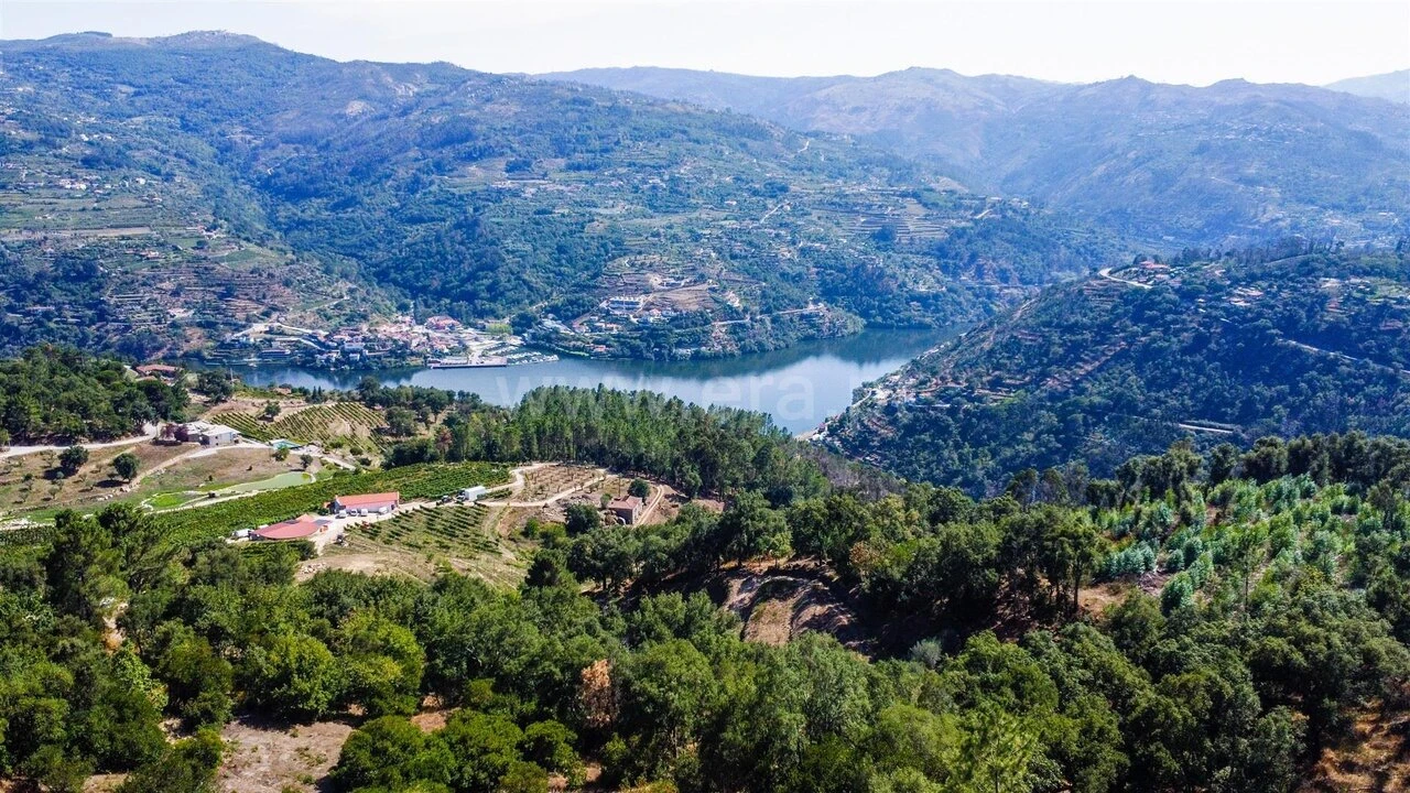 Quinta T2 para Venda em Santa Cruz do Douro e São Tomé de Covelas Foto 5