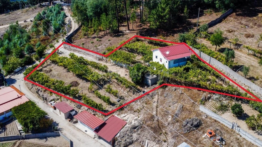 Quinta T3 para Venda em Santa Cruz do Douro e São Tomé de Covelas