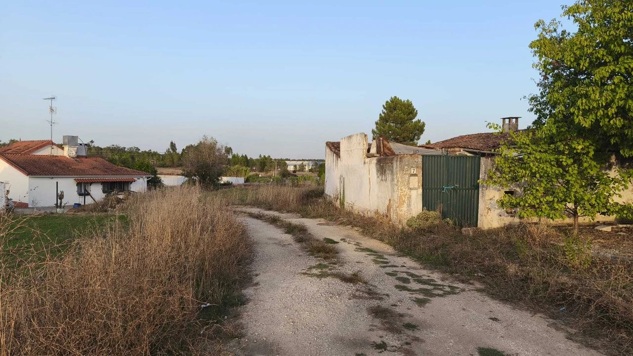 Terreno para Venda em Riachos Foto 3