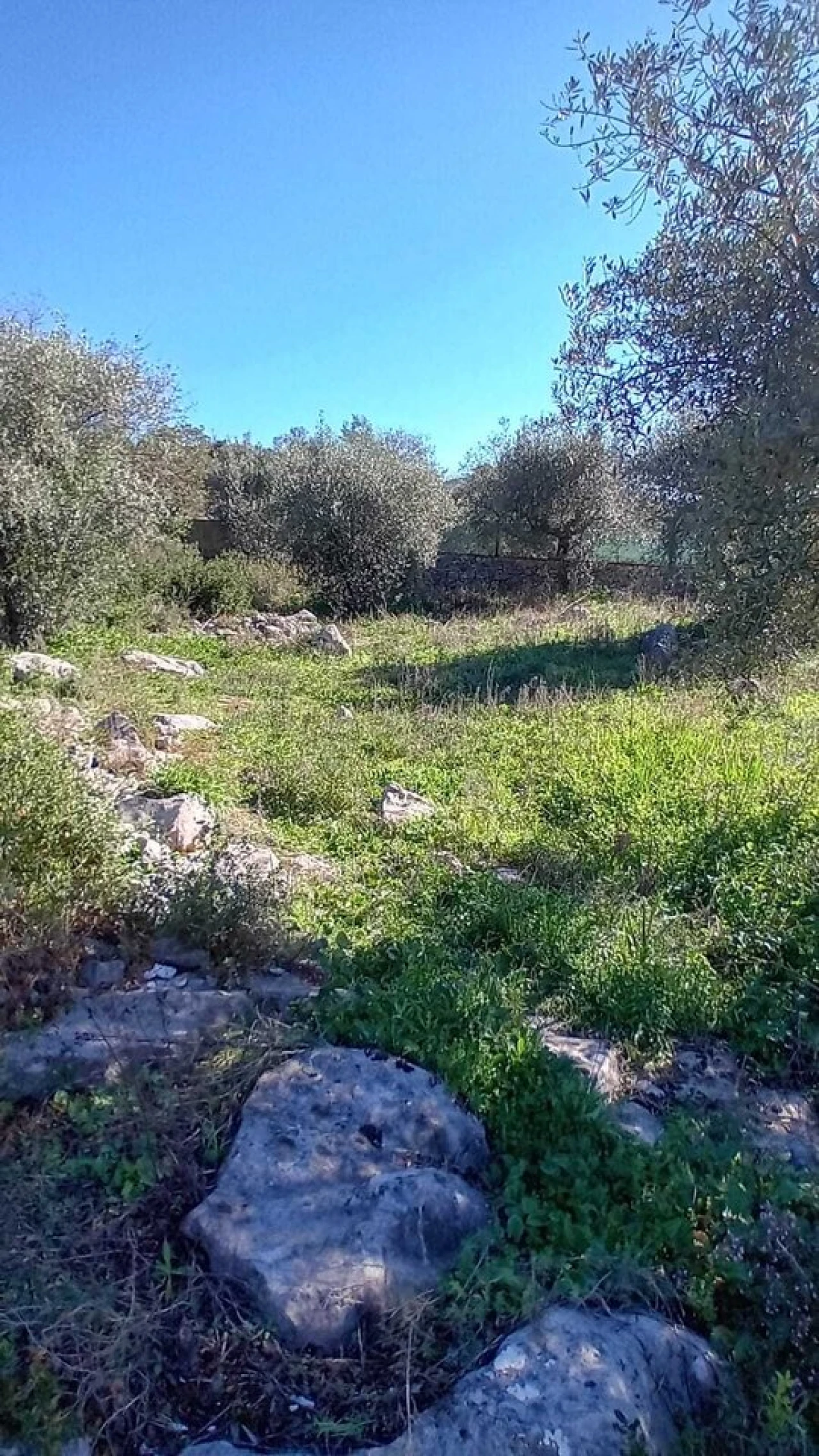 Terreno para Venda em Mira de Aire Foto 1