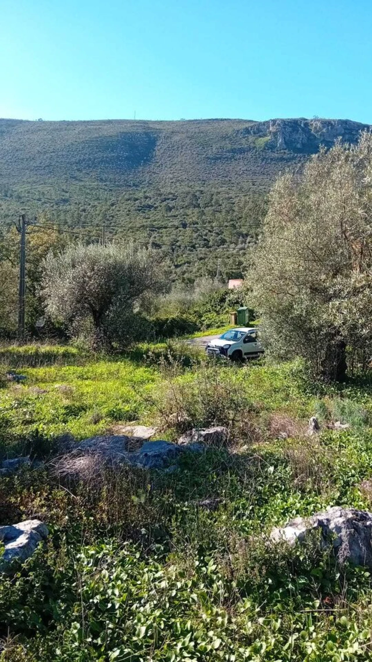 Terreno para Venda em Mira de Aire Foto 4