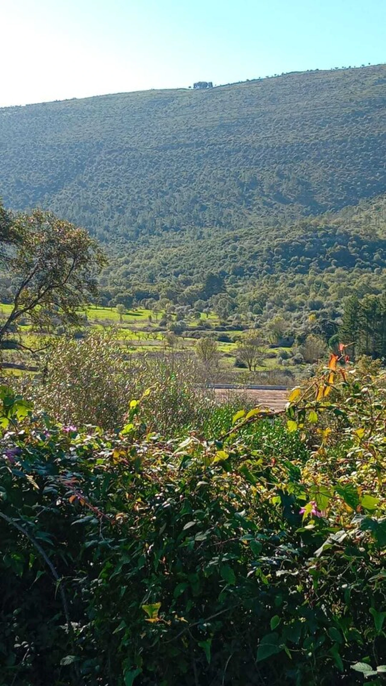 Terreno para Venda em Mira de Aire Foto 5
