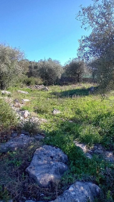 Terreno para Venda em Mira de Aire