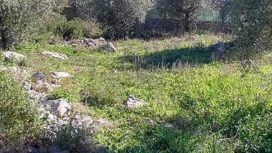 Terreno para Venda em Mira de Aire