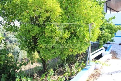 Moradia T3 para Venda em Olalhas