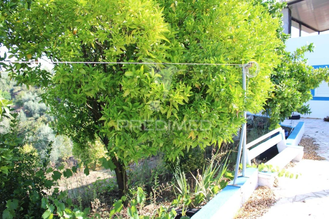 Moradia T3 para Venda em Olalhas Foto 32
