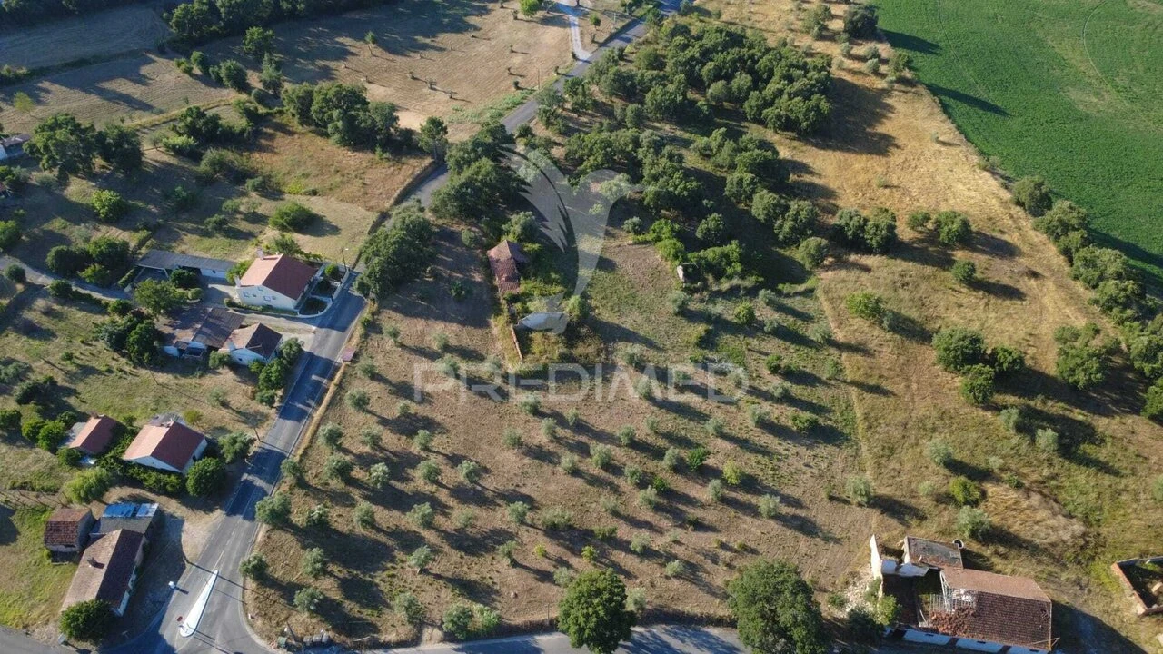 Terreno para Venda em Madalena e Beselga Foto 4