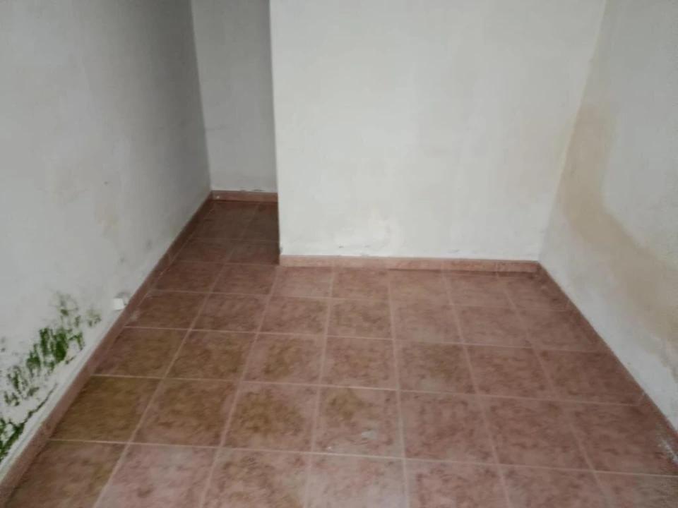 Prédio para Venda em Alcoentre Foto 18