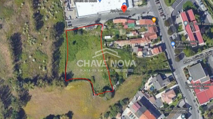 Terreno Agricola ou Rústico para Venda em Oliveira do Douro Foto 3