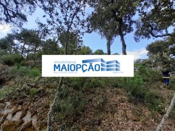 Terreno para Venda em Castro Vicente