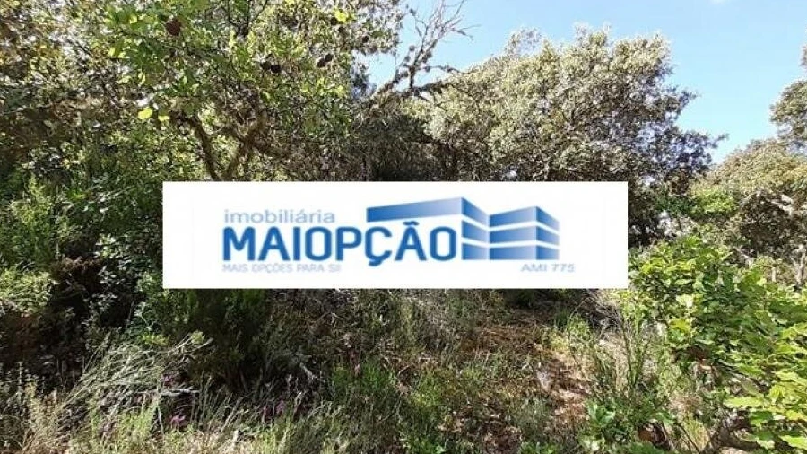 Terreno para Venda em Castro Vicente