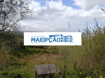 Terreno para Venda em Aljubarrota