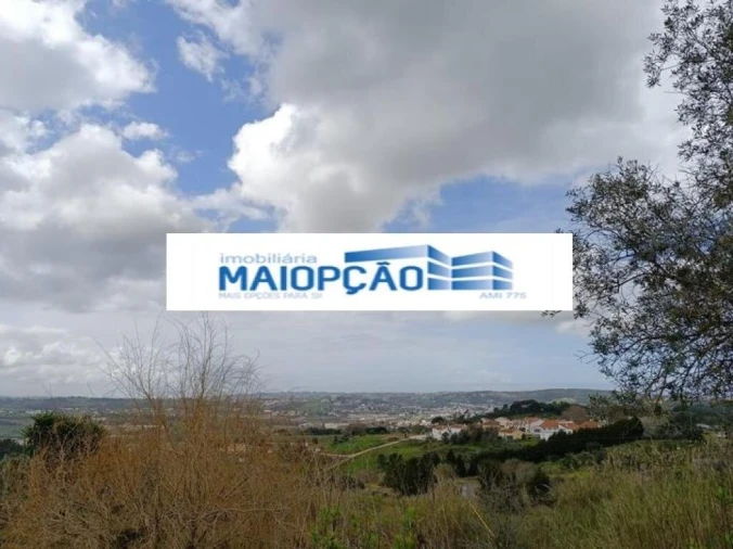 Terreno para Venda em Aljubarrota Foto 3
