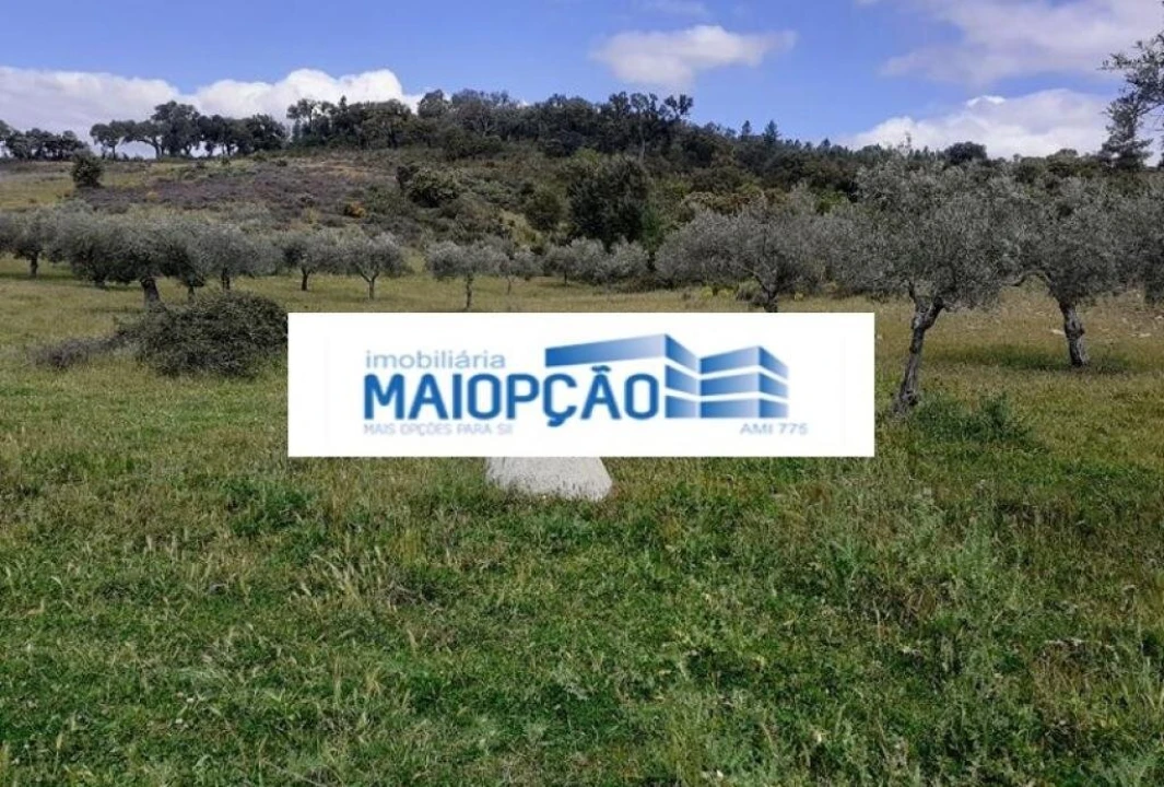 Terreno para Venda em Castro Vicente Foto 3
