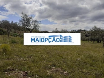 Terreno para Venda em Castro Vicente