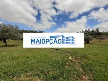 Terreno para Venda em Castro Vicente