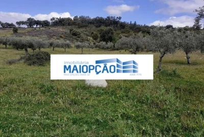 Terreno para Venda em Castro Vicente