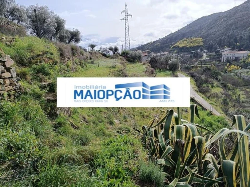 Terreno para Venda em Tabuaço Foto 1