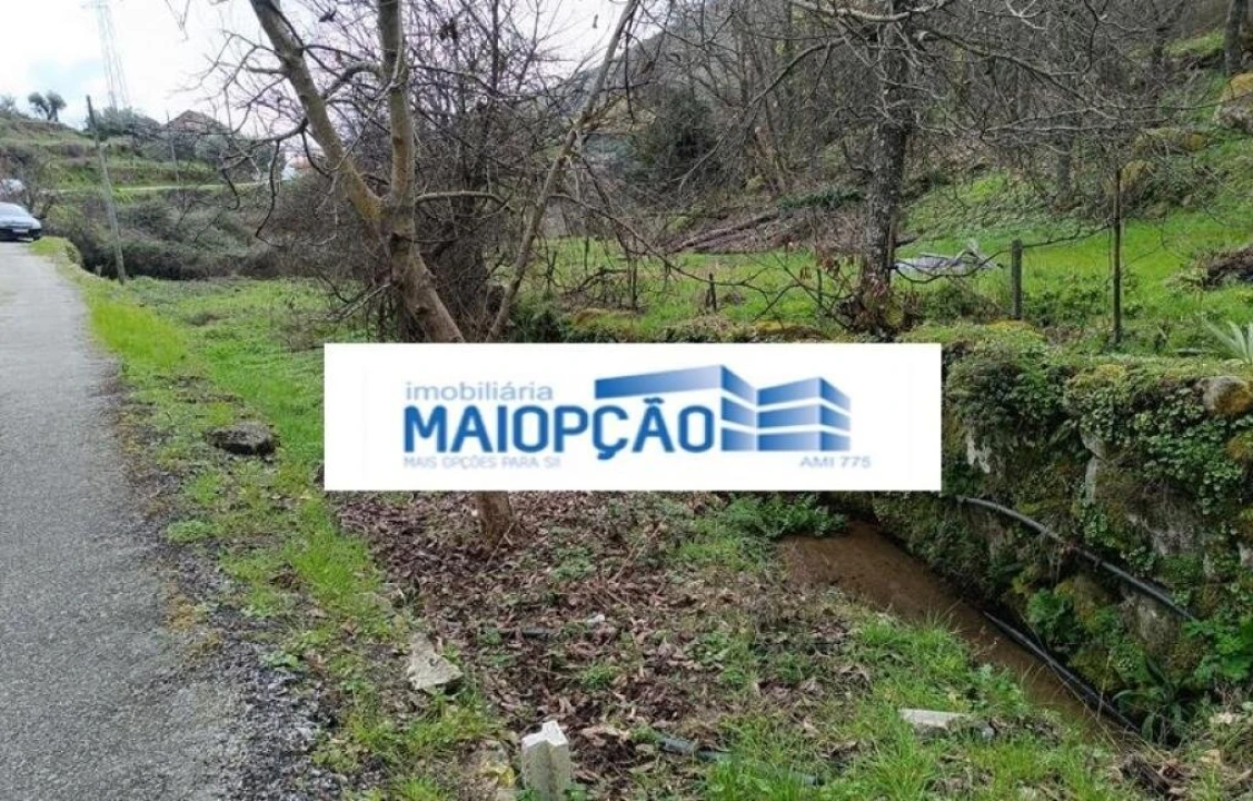 Terreno para Venda em Tabuaço Foto 4