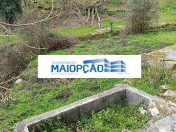 Terreno para Venda em Tabuaço