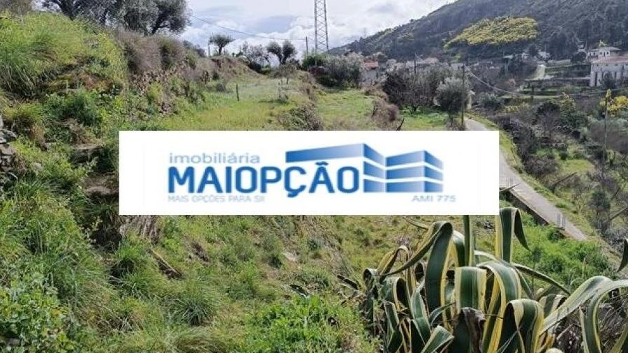 Terreno para Venda em Tabuaço