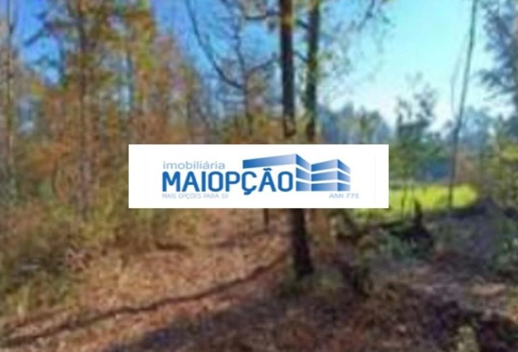 Terreno para Venda em Santa Comba Dão e Couto do Mosteiro Foto 1
