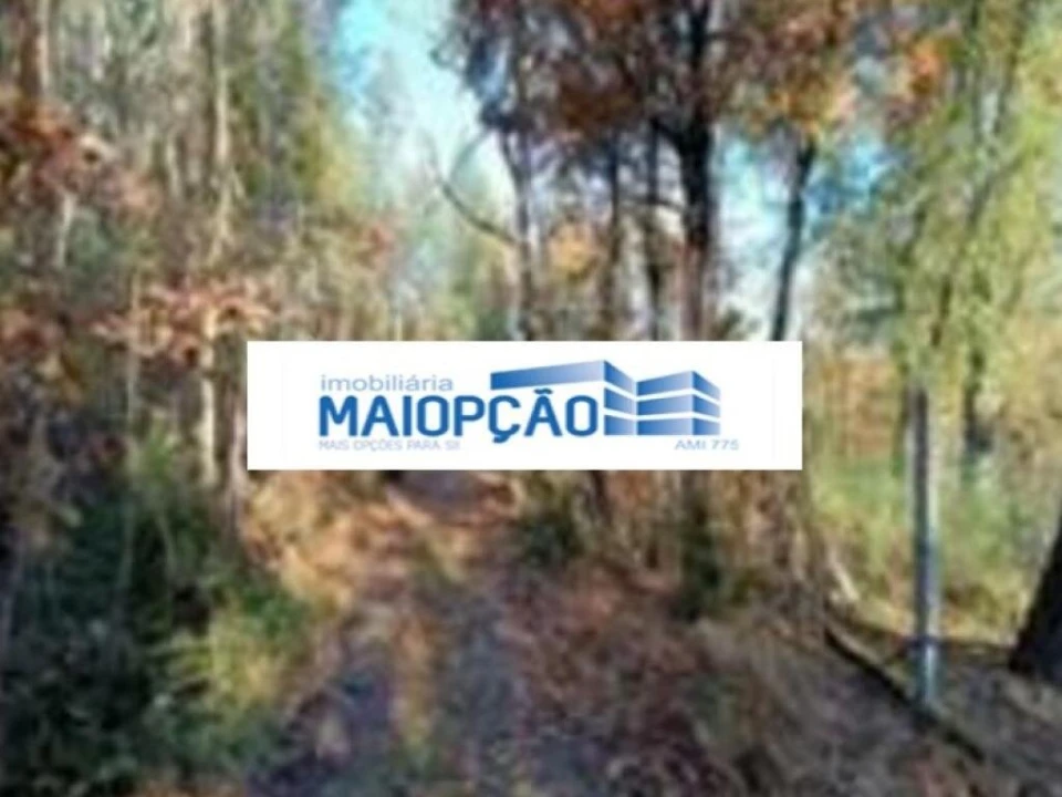 Terreno para Venda em Santa Comba Dão e Couto do Mosteiro Foto 2