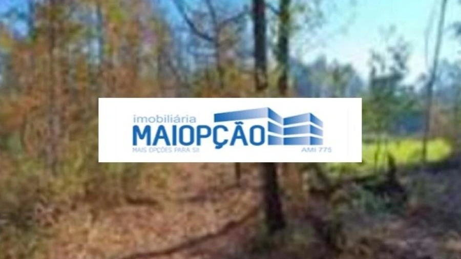 Terreno para Venda em Santa Comba Dão e Couto do Mosteiro
