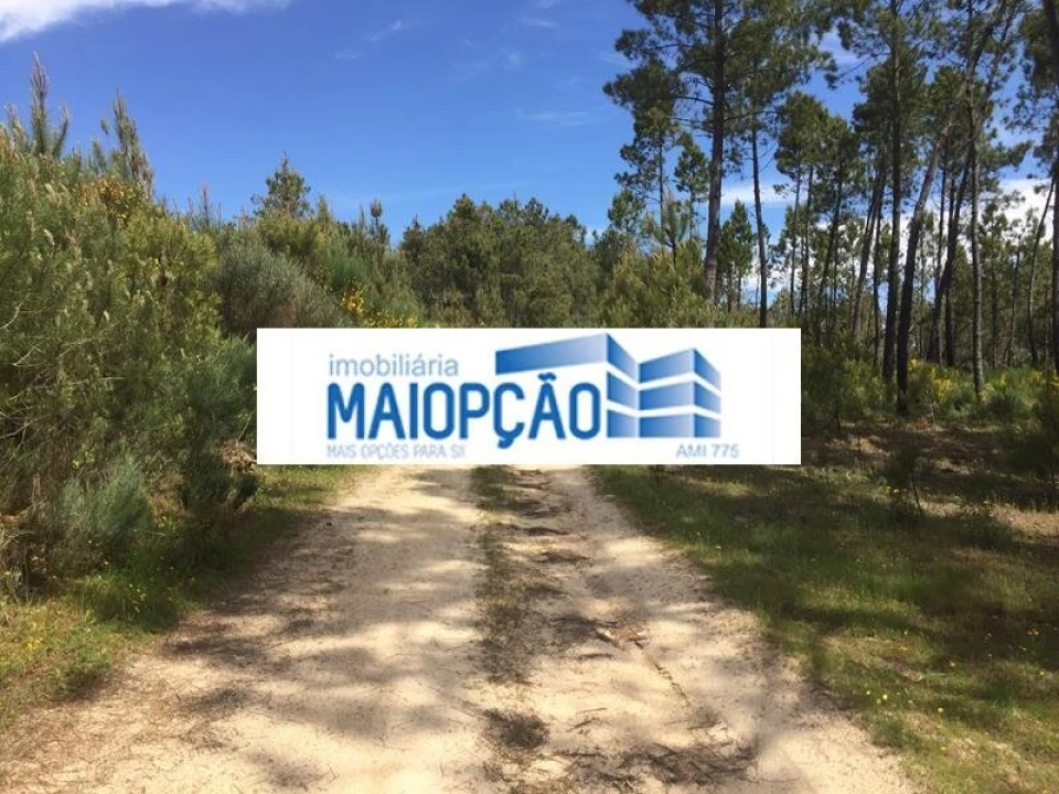 Terreno para Venda em Trancoso (São Pedro e Santa Maria) e Souto Maior Foto 3