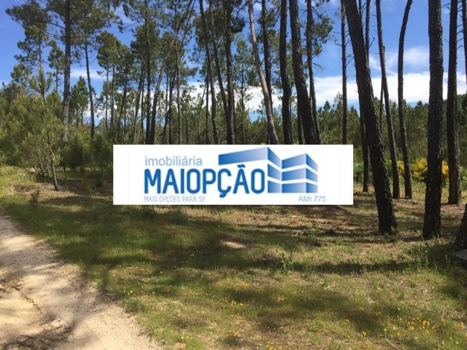 Terreno para Venda em Trancoso (São Pedro e Santa Maria) e Souto Maior Foto 4