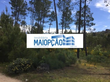 Terreno para Venda em Trancoso (São Pedro e Santa Maria) e Souto Maior