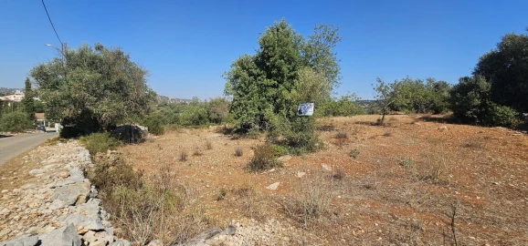 Terreno para Venda em Paderne