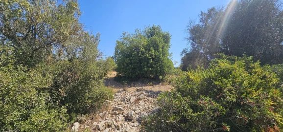 Terreno para Venda em Paderne
