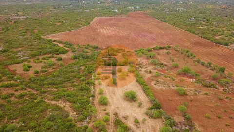 Moradia T2 para Venda em Santa Catarina da Fonte do Bispo