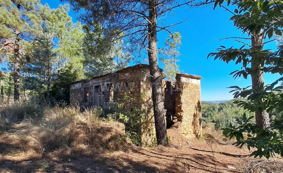 Moradia T2 para Venda em Souto da Casa Foto 1