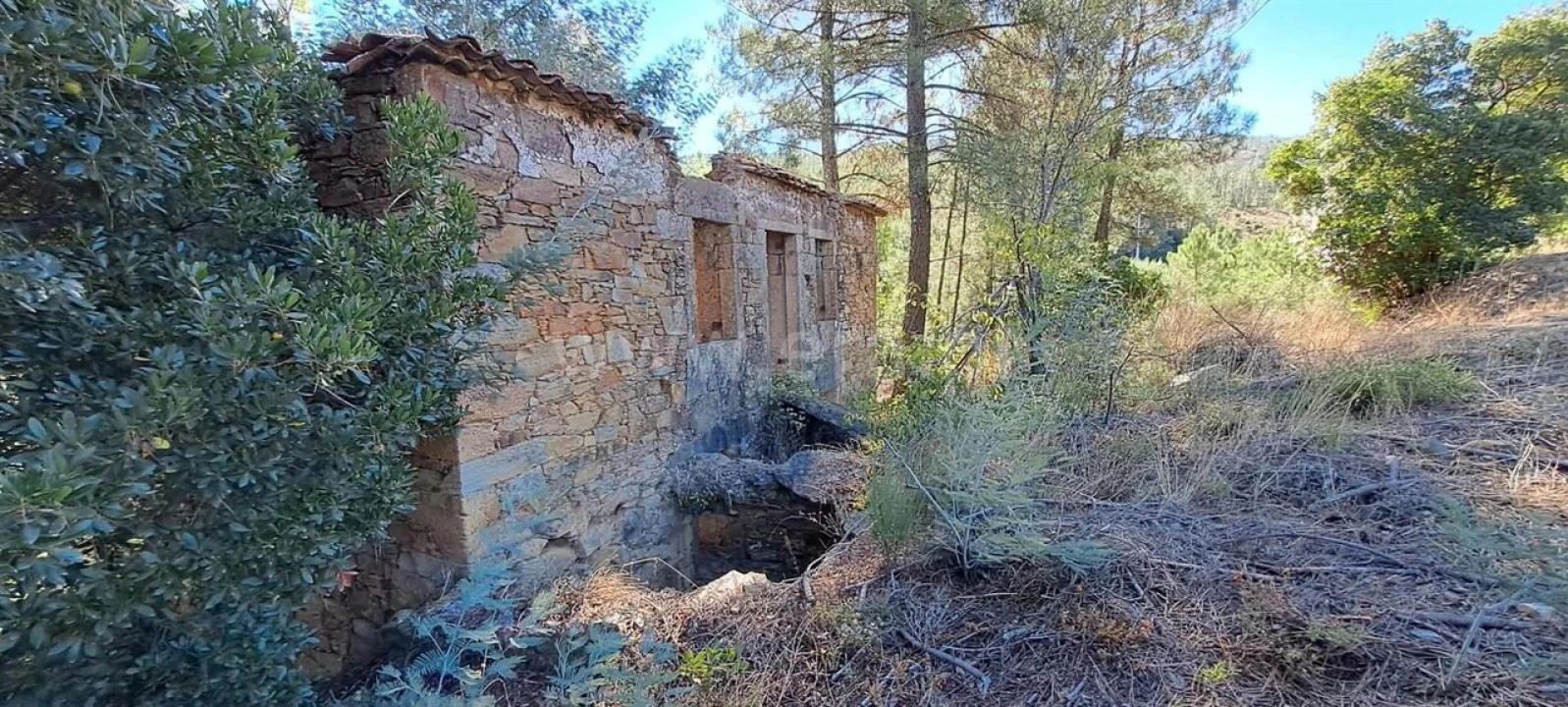 Moradia T2 para Venda em Souto da Casa Foto 6