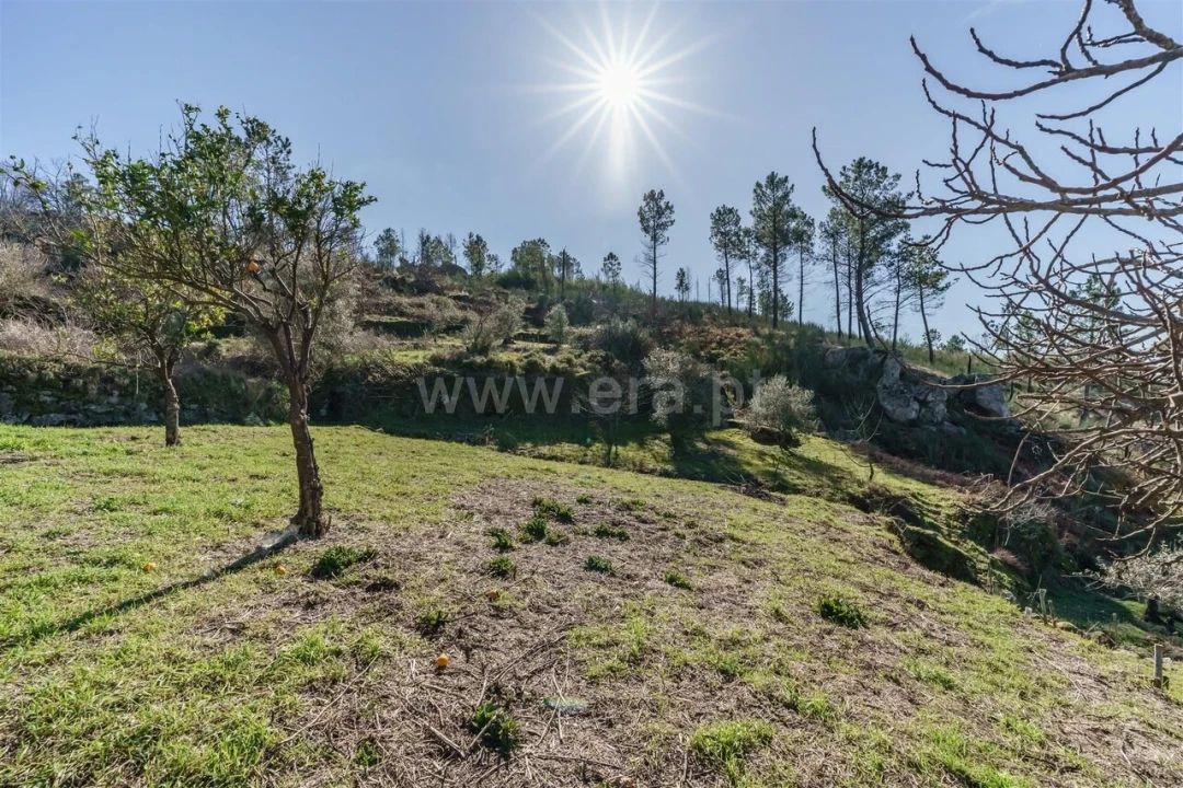 Quinta T2 para Venda em Teixoso e Sarzedo Foto 3