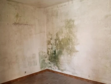 Loja para Venda em Alpiarça