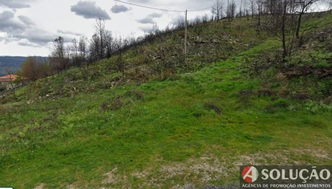 Terreno para Venda em Freigil e Miomães