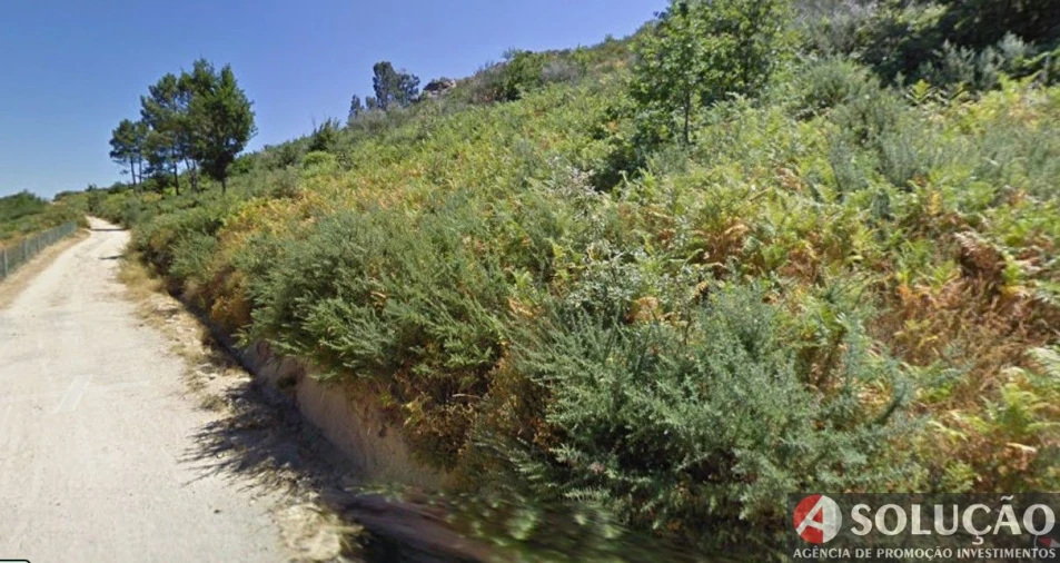 Terreno para Venda em Freigil e Miomães Foto 5