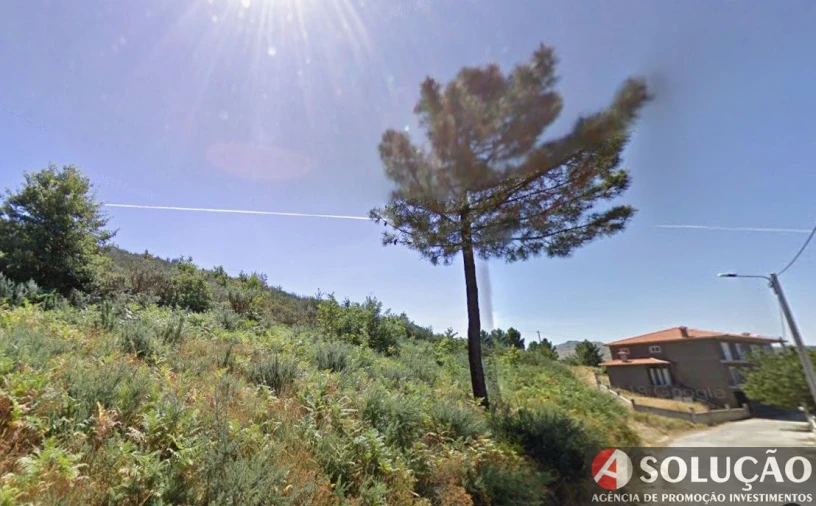 Terreno para Venda em Freigil e Miomães Foto 3