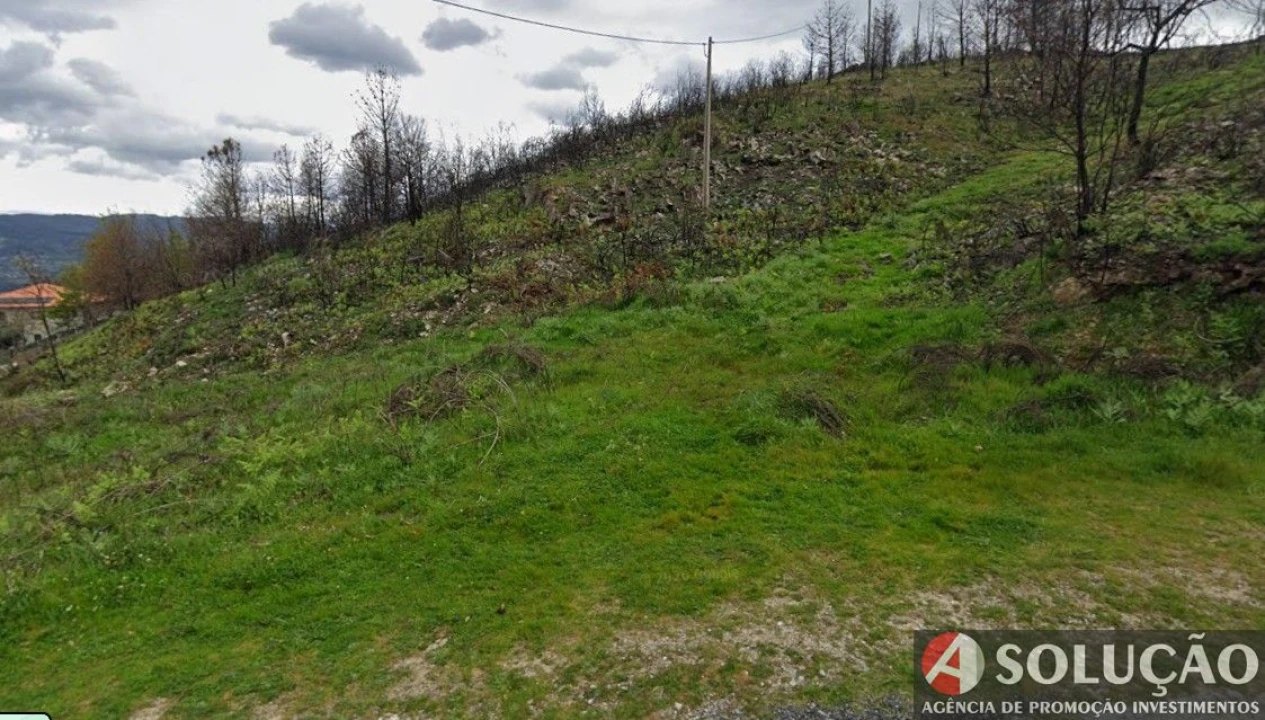 Terreno para Venda em Freigil e Miomães Foto 2