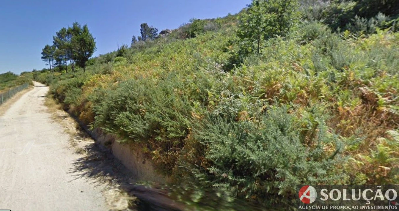 Terreno para Venda em Freigil e Miomães Foto 5