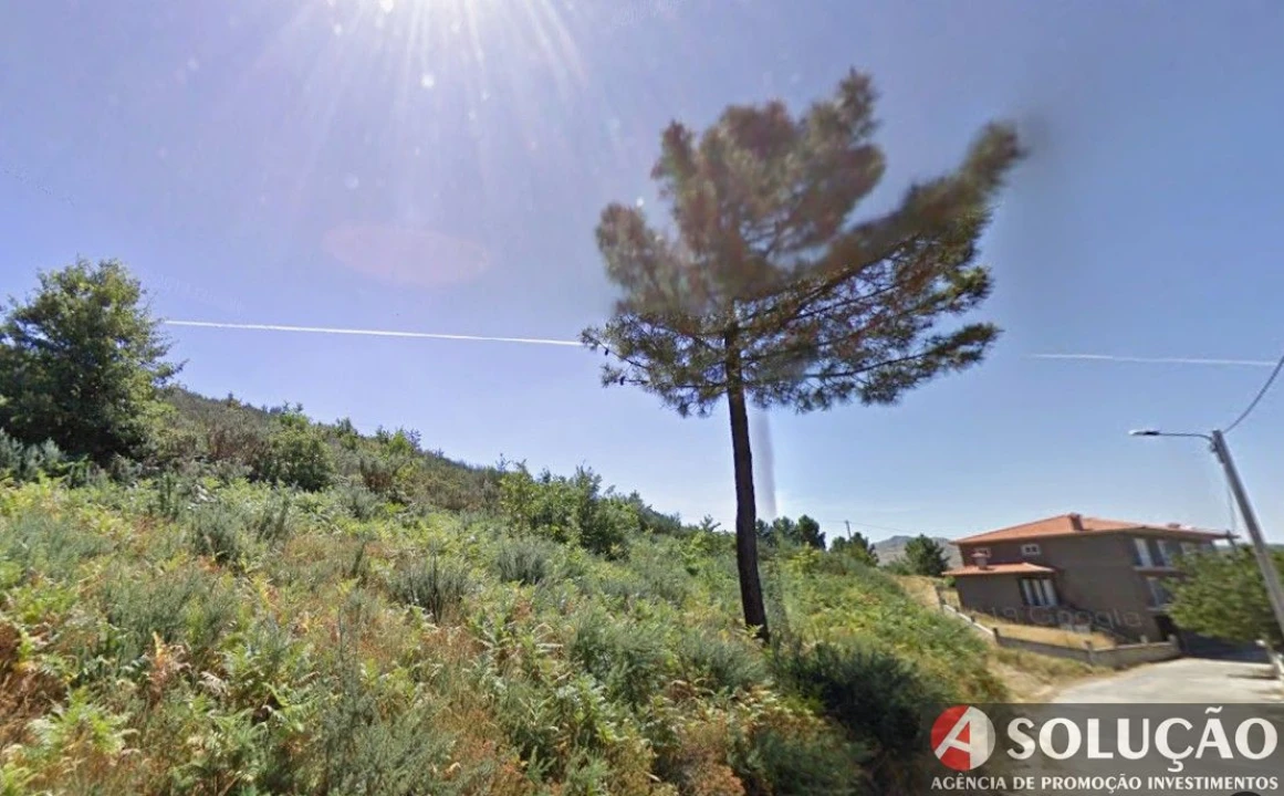 Terreno para Venda em Freigil e Miomães Foto 3