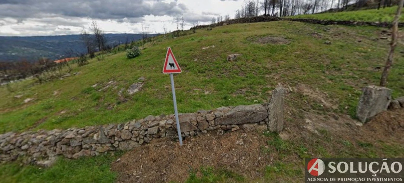 Terreno para Venda em Freigil e Miomães Foto 1
