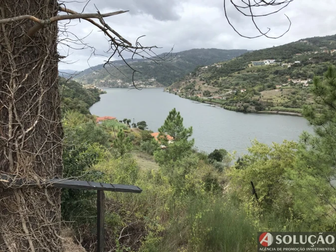 Terreno para Venda em Anreade e São Romão de Aregos Foto 2