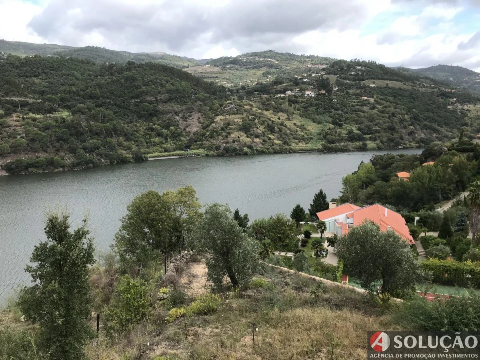 Terreno para Venda em Anreade e São Romão de Aregos Foto 3