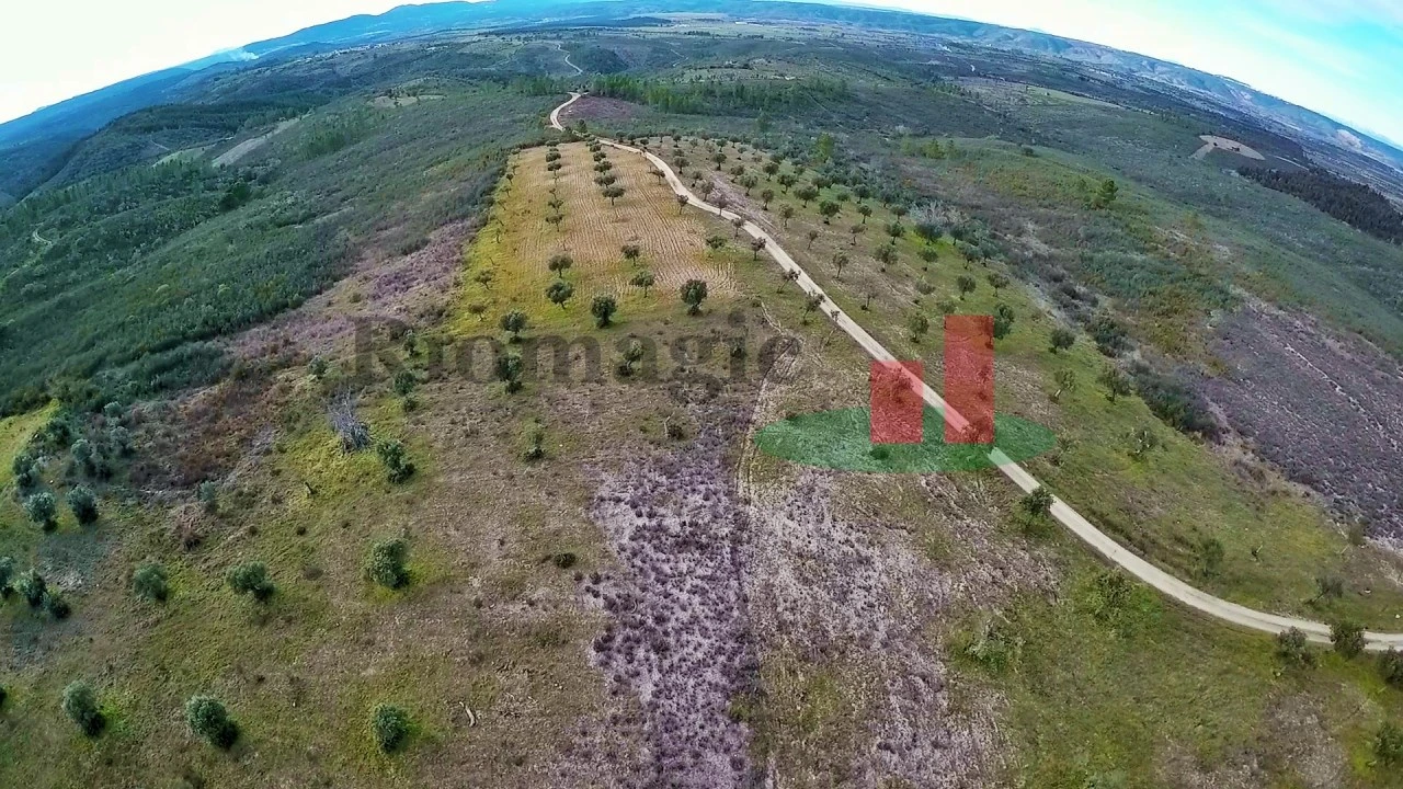 Quinta T3 para Venda em Perais Foto 17